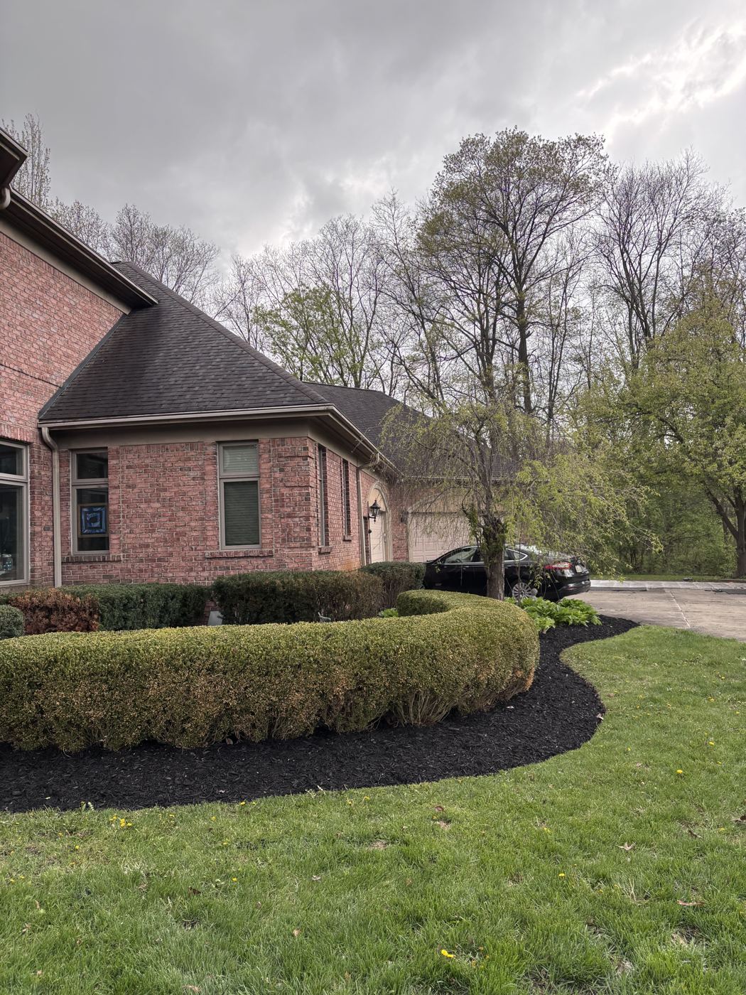 Curved boxwood hedge with a flowing black mulch bed